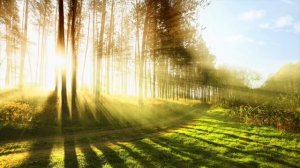 Tai chi chuan meditation music
