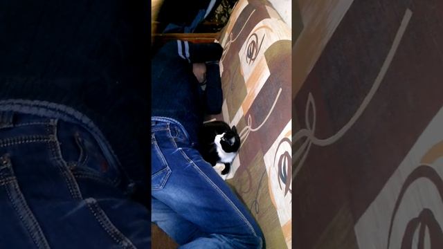 Зорик спит смотреть онлайн