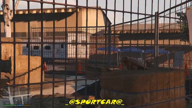 ИГРА ЗА ЖИВОТНЫХ смотреть онлайн