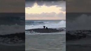 Пропавших в море в Сочи детей ищут более 260 спасателей и волонтеров