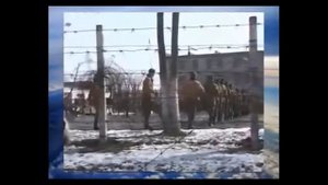 ДИСЦИПЛИНАРНЫЙ БАТАЛЬОН   дальневосточный военный округ   это СТРАШНОЕ МЕСТО!
