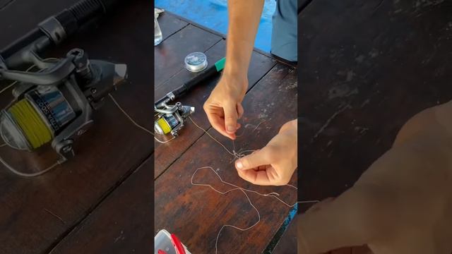 Рыба монстр! Ядовитая фугу на морской рыбалке #фугу #рыбалка #море #рыба смотреть онлайн