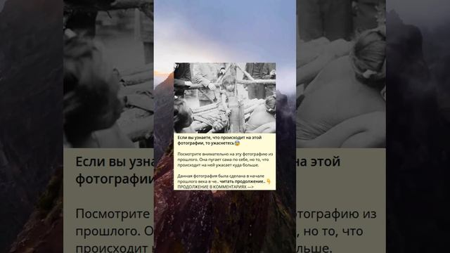 Это фото может вызвать ужас, если вы узнаете, что на нем происходит?