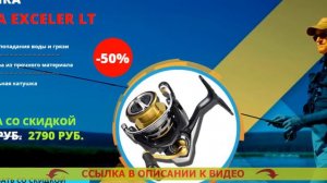 Daiwa Exceler LT 2000d купить