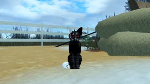 ЧТО БУДЕТ ДАЛЬШЕ В КОТАХ ВОИТЕЛЯХ РОБЛОКС?|коты воители роблокс #warriorcats #wcue #котывоители #fy