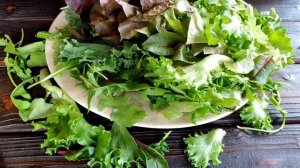 Микс из БЭБИ-САЛАТОВ. Очень много и очень полезно!