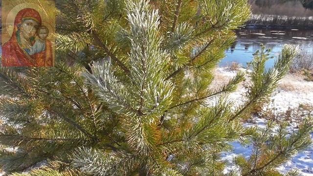 Народные приметы для девушек, женщин на Казанскую. День иконы Казанской Божьей Матери! смотреть онлайн