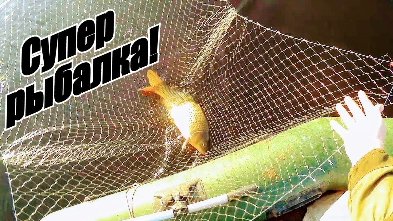 Рыбалка на паук! В поисках дикого Сибирского сазана! Рыбалка 2021! Рыбалка на сазана! смотреть онлайн