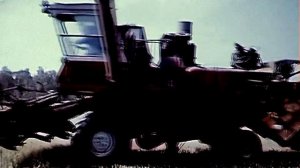 1988 год. Ялуторовский район. Уборка зерновых