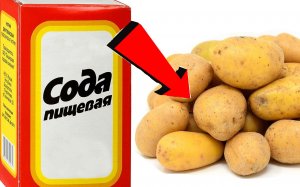 Как быстро избавиться за 03 минуты от колорадского жука на картошке!!!..