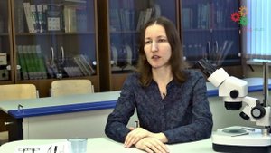 Зоология беспозвоночных. Часть 1. Подготовка к олимпиаде и уровень требований (Е. Богомолова)