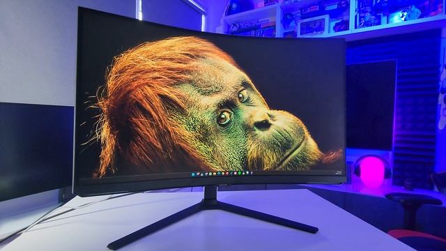 Epic Monitor Battle: Alienware AW3423DW vs Samsung G8 NEO vs Ultragear 32GQ950-B vs LG C2 C3 смотреть онлайн