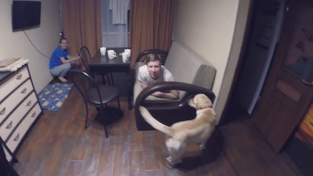 СОБАКА ХОЧЕТ СЪЕСТЬ GoPRO [CAMvsMAN] смотреть онлайн