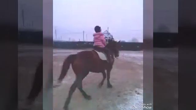 История как я стала заниматься верховой ездой... смотреть онлайн