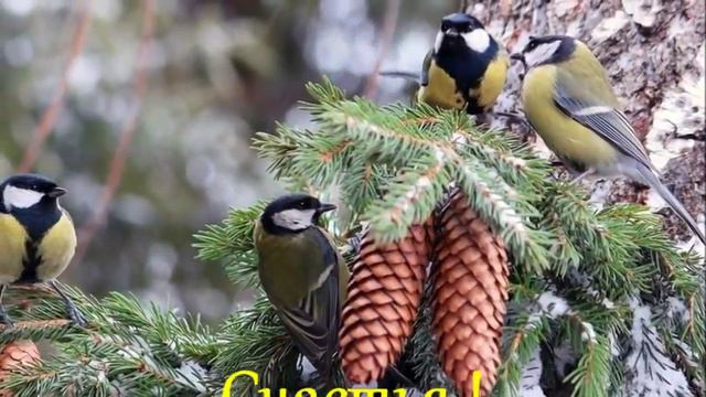 СКОРО РОЖДЕСТВО! смотреть онлайн