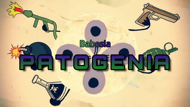 BABESIA 23|| BABESIOSIS || APICOMPLEXAS смотреть онлайн