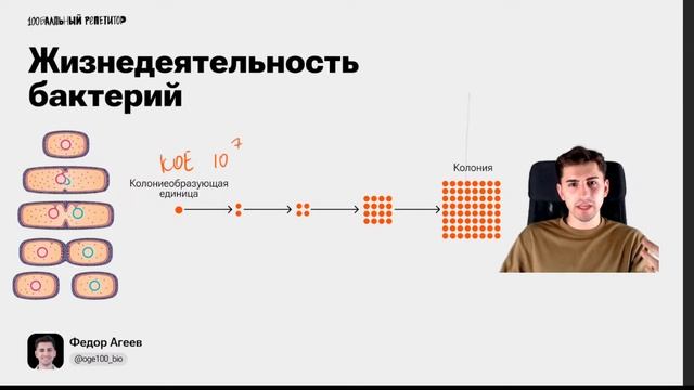 Все про бактерии на ОГЭ по биологии | Федор Агеев смотреть онлайн