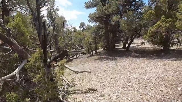 Search 4 Aidan Clune - Day 1 Part 3 - Preview *Join for the Full Video! смотреть онлайн