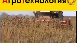 Приспособление для уборки подсолнечника ПС лифтер