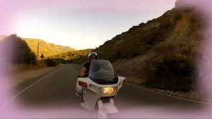 Honda pc 800 - Nunzio -