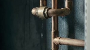 Лактофильтрум_ Здоровый Кишечник Красивая Кожа_2010