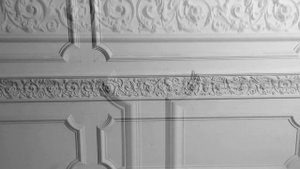 Оформление стен, лепнина из гипса. Making the walls, moldings from plaster