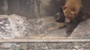 Отдых на Шри-Ланке. Часть 1: Ваддува / Sri Lanka. Wadduwa