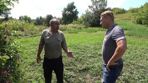 Что посадить во избежании бурьяна если временно нет возможности обрабатывать землю.