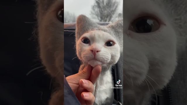 утепляемся