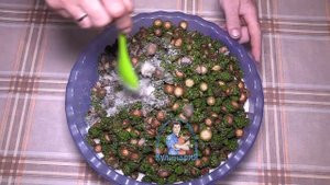 САМОЕ ЭФФЕКТИВНОЕ СРЕДСТВО ОТ ПРОСТУДЫ. Сосновые шишки с сахаром без варки