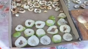 Как сушить груши на зиму