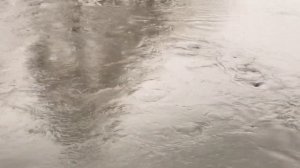 Придет Вода - Полина Баранкова (кавер Янка Дягилева)