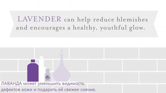 Изготовление стилизованных субтитров для видеоролика "Эфирное масло Лаванды". Студия Звукоград. смотреть онлайн