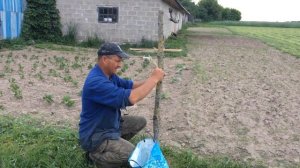 Ставим электронный пастух