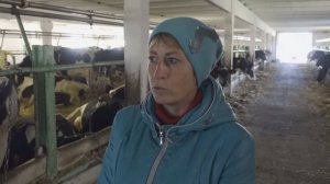 Работы в сельхозпредприятиях Сузунского района.