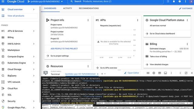 Implementing Canary Releases of TensorFlow Model Deployments with Kubernetes and Istio смотреть онлайн