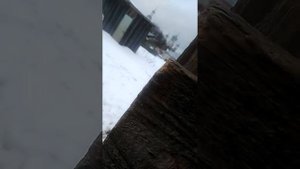 Заводим "Макаку" Минск после долгого простоя