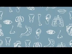 Введение в физиологию