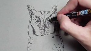 Drawing a Realistic Owl - Step-by-Step Guide