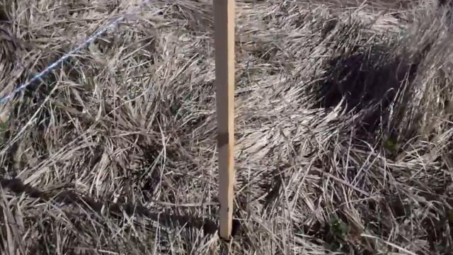 Электропастух. смотреть онлайн