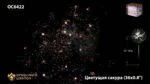 OC 6422