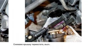 Замена термостата Skoda Fabia двигатель AZQ