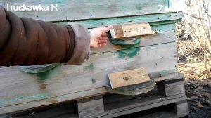 Как не дать пчёлам замёрзнуть при ране весеннем облёте. Сохранить пчелу от потерь.