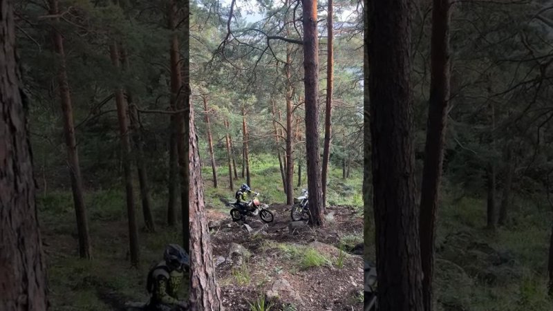 Самая высокая гора Урала #hardenduro #эндуро #youtubeshorts #enduro