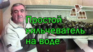 ? Простой кильчеватель черенков винограда на воде