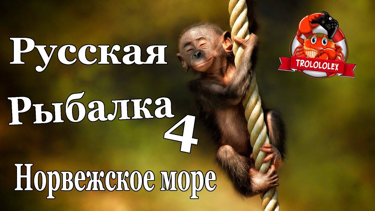 Русская рыбалка 4 ОбезьяНка на 55й банке смотреть онлайн