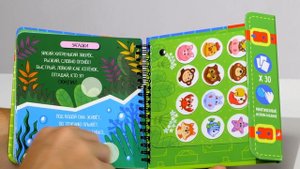 Игры в дорогу ИЗУЧАЕМ ЖИВОТНЫЙ МИР , ИЗУЧАЕМ ЦВЕТА И ФОРМЫ BONDIBON