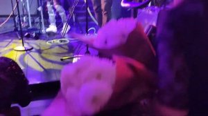 "Первые цветы"