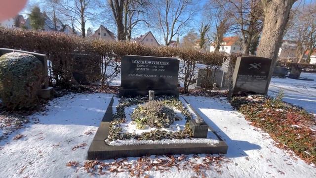 Субботний влогПокупки из MüllerYazio App