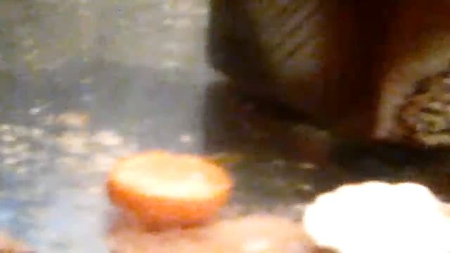 Когда и сколько раз нодо кормить рыбок смотреть онлайн